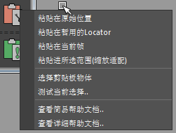 copyPastePro_pasteOption_ch